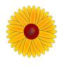Прозрачная липкая ловушка для насекомых на окна - Ловушка для мух и наклейка от плодовых мушек