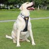 Pet Dog Leash Explosion-proof Mesh Cloth Breathable Chest Strap Medium and Large Dog Leash Walking Leash