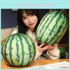 Очаровательная 3D плюшевая игрушка Арбуз Мягкая подушка для декора детской комнаты и подарков