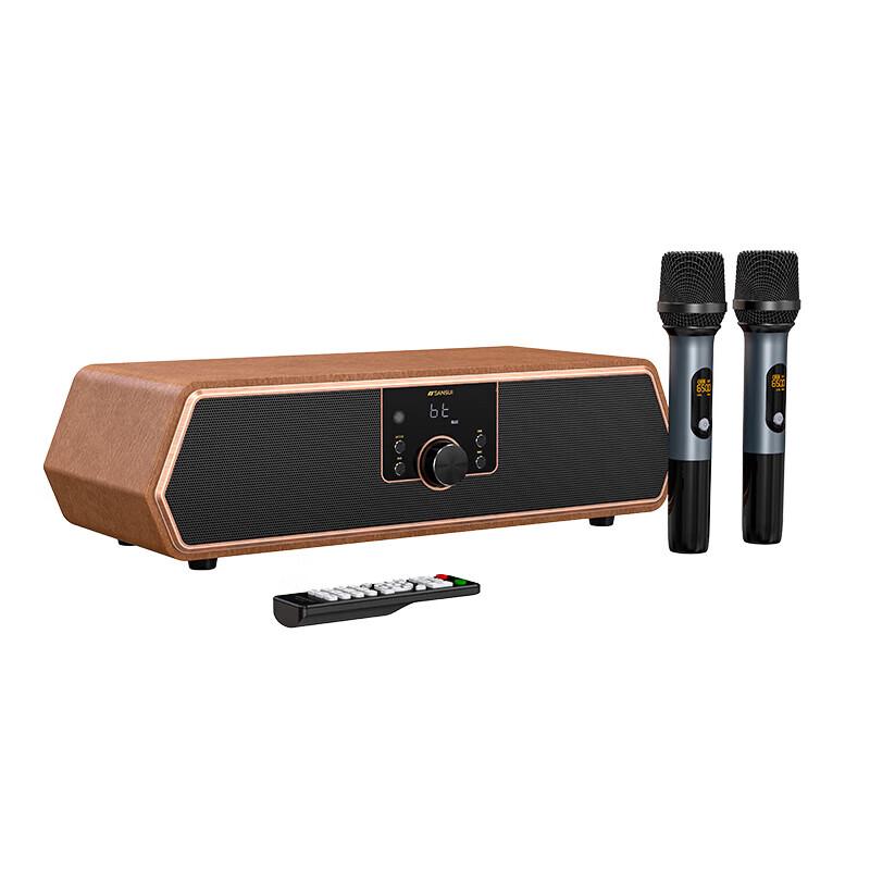 SANSUI N16 Flagship Retro All-in-One KTV Bluetooth Speaker