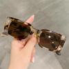 Vintage Gradient Small Frame Square Sunglasses Leopard Sun Glasses Rectangle Shades