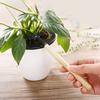 2 Sets Mini Gardening Tools Kids Metal Trowel with Wooden Handle Mini Rake