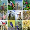 DIY 5D Diamond Painting Full Drill Round Animal Bird Diamond Embroidery Cross Stitch Mosaic Kit Wall Art Gift Home Decor