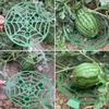 5pcs Watermelon Stand Basket Frame Holder Plant Tray Fruit Support Rack Vegetables Gardening Stand Garden Tools