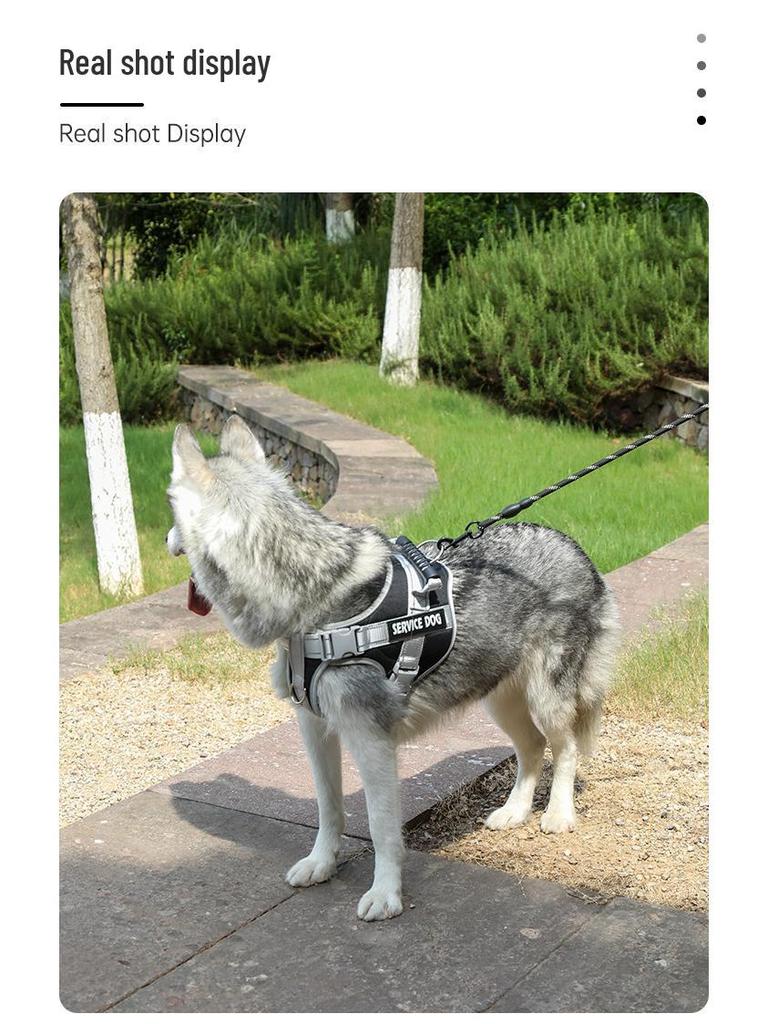 Шлейка для собаки в стиле седла K9 и поводок - Взрывозащищенная, для средних/крупных пород, бордер-колли, золотистый ретривер