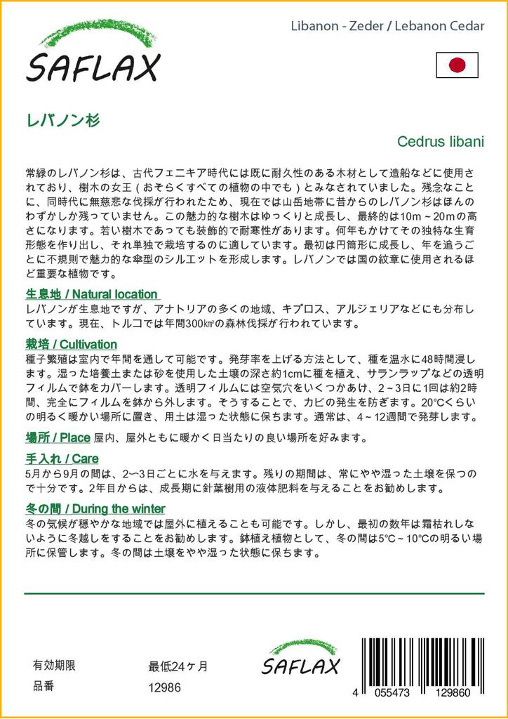 SAFLAX Ливанский кедр - 20 семян - Cedrus libani