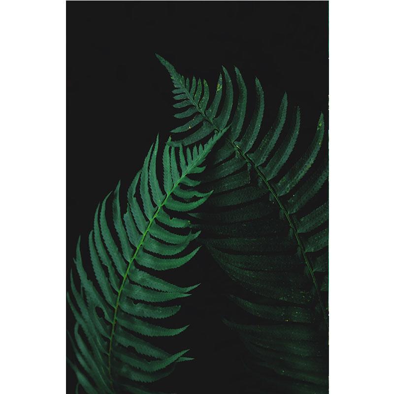 Современная картина на холсте с природой, зеленые листья, картины с растениями, постеры с деревьями, принты для декора гостиной, настенное искусство куадрос