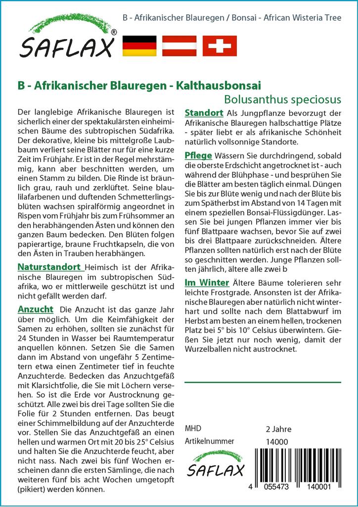 SAFLAX Бонсай - Дерево глицинии африканской - 15 семян - С горшечным субстратом для лучшего выращивания - Bolusanthus speciosus