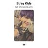 Stray Kids В СТАНДАРТНОЙ ВЕРСИИ. Официальная фотокарта