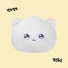 Предзаказ NMIXX Artist Label NMIXX Edition HAENGMANI Face Cushion