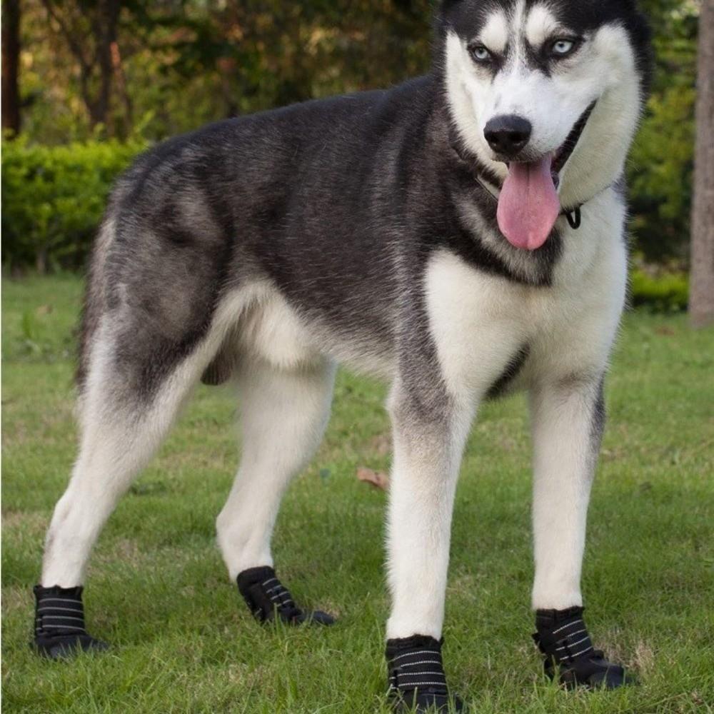 Comfortable Anti-Slip Dog Shoes Wear-Resistant Dog Paw Protector Waterproof Dog Boots Rainy Days