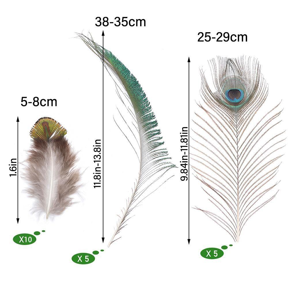 Wedding Decorations Feather Boas Colorful Feathers Natural Peacock Feathers Flower Arrangement