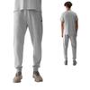Брюки спортивные мужские 4Ф М603-27М серые размер XXL