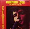 7-дюймовая пластинка ELVIS PRESLEY Burning Love RCA2713 RCA 1978 Канада Рок Б/у