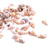 100PCS Natural Conch Shells Aquarium Decoration Party Festival Home Decor Natural Sea Beach Shell Conch Seashells For DIY Crafts