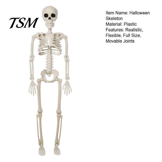 Realistic Plastic Skeleton for Yard Decor Halloween Decoration, 3Ft Life Size Full Body Human Bone, Posable Party Decorations with Movable Joints