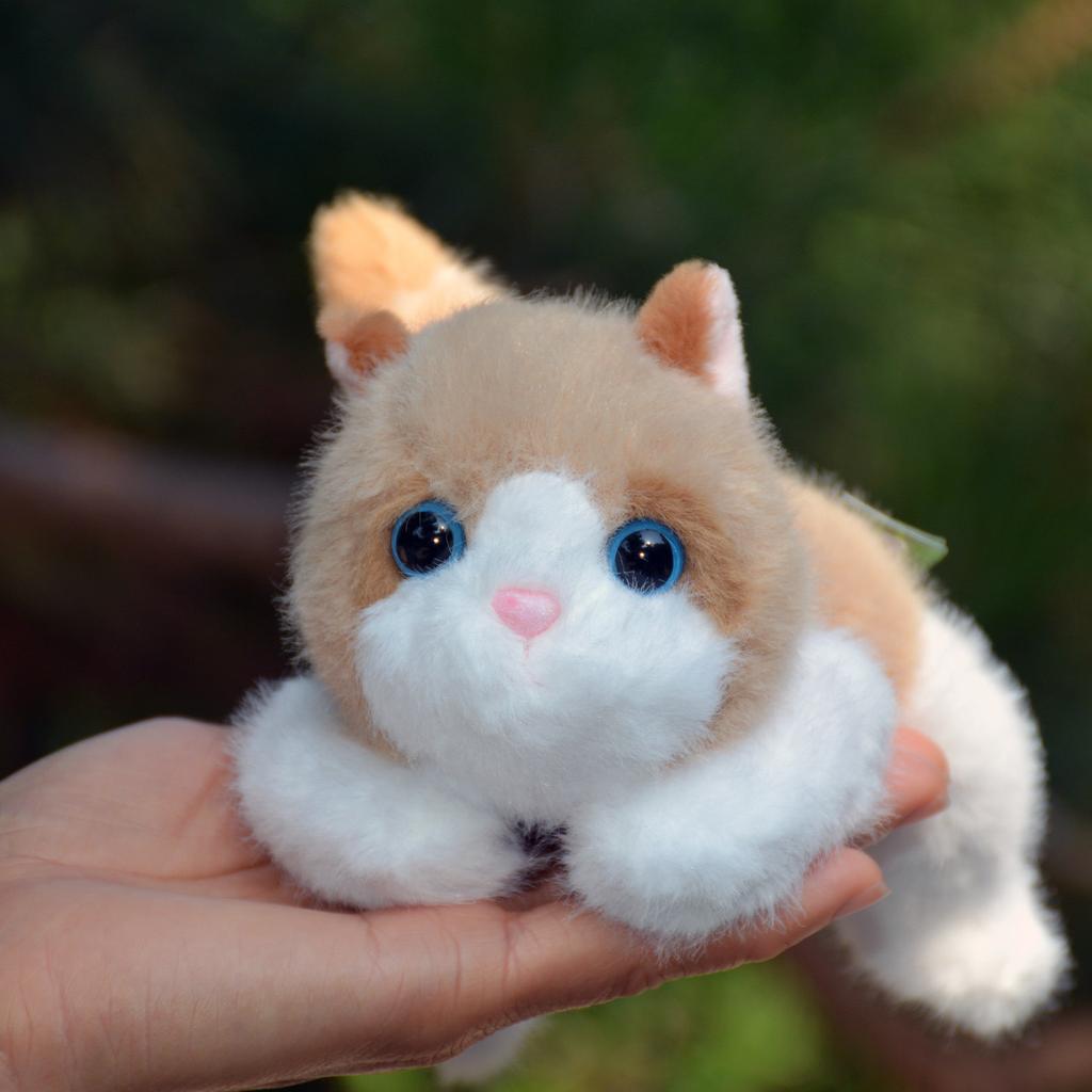 L18см Милый котенок Плюшевая игрушка Желтый котенок Мужского пола Стиль Поддержка плеча Подарок на день рождения