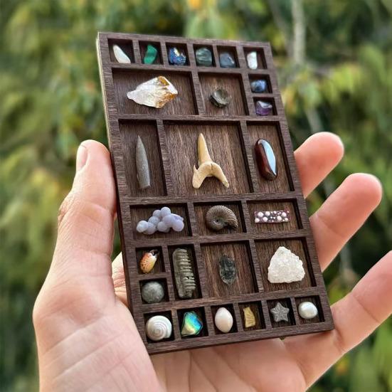 Miniature Trinket Shelf Wooden Crystal Display Shelf Miniature Collectibles Organizer Printers Tray for Gems Stones Shells