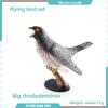 Pvc Bird Magpie Pigeon Model Set With Realistic Design For Nature Decor And Collectors
