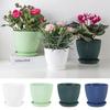 Plastic Flower Pot Succulent Plant Pot with Tray Green Dill Round Double Layer Small Flowerpot Home Office Desktop Decoration
