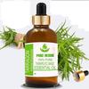 Масло эстрагона Pure Herbs (Полынь эстрагонная) Чистое и натуральное эфирное масло терапевтического качества в стеклянной емкости