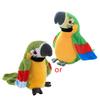 Electric Plush Parrot Speaking Talking Repeats Waving Education Simulation Bird