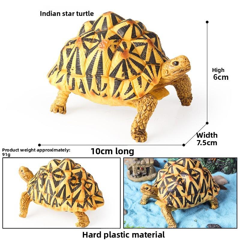Модель морской жизни: кальмар, краб, черепаха, саламандра, рыба-сабля, лососевая акула для обучения детей