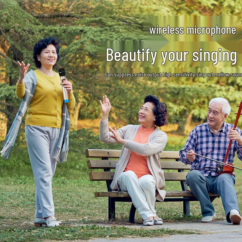 Soaiy SA-X21 8-дюймовая портативная караоке-колонка