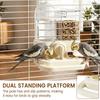 2 in 1 Bird Feeder and Waterer Hanging Pet Feeder Quail Parrot Water Dispenser Bird Food Box Bird Cage Accessories Pet Supplies