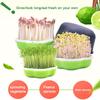 Home Garden Hydroponic Peanut Sprout Box Bean Pea Wheat Seedling Sprouter Tray Cat Grass Grow Germination Soilless Planting Pot