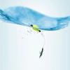 Bottom Fly Fishing Bobbers Float Oval  Fishing Floats Beads Indicator Fish Beans Water droplets