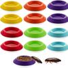 12Pcs Small Size Tiny Feeding Dish Durable Worm Dish Reptile Mealworms Bowl  For Dwarf Invertebrates