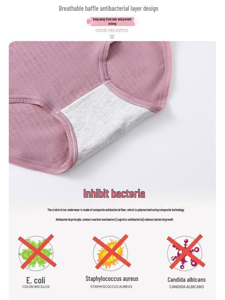 High-Waisted Cotton Antibacterial Shorts for Middle-Aged and Plus-Size Women