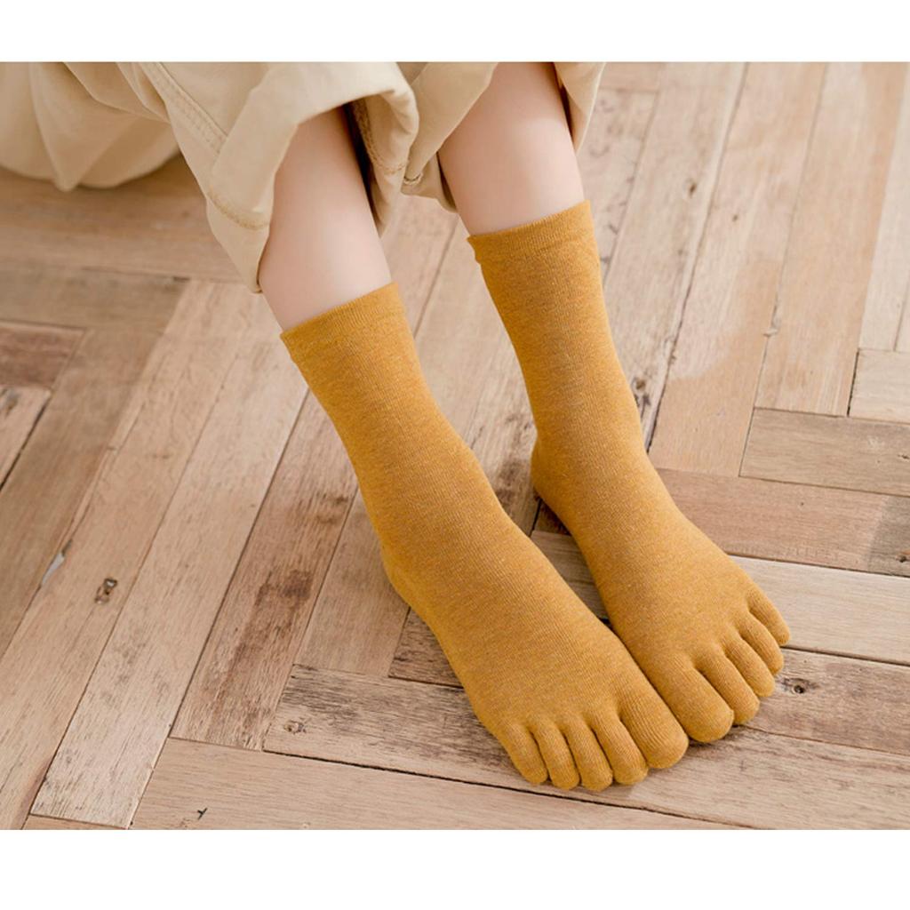 5 носков 5 носков хлопок 5 носков короткие все запахи устойчивы 5 пар в 5 цветах [GUGULUZA] Носки, женские, носки, дышащие, простые, хлопок, носки, женские