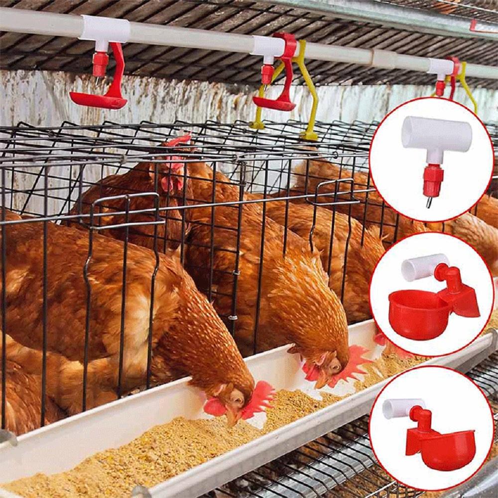 20PCS 1/2" PVC Tee Automatic Poultry Waterer Drinker Cups Chicken Water Nipples
