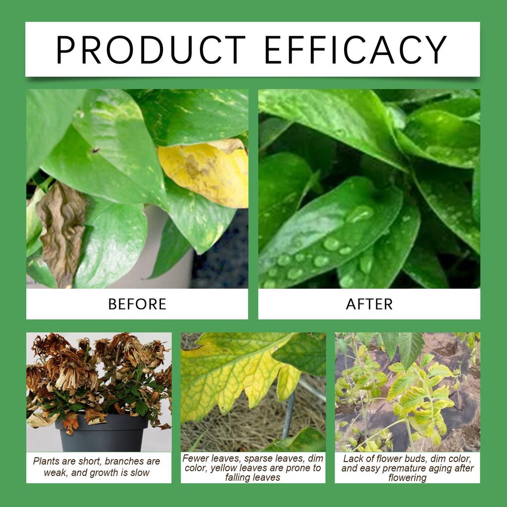 Удобрение для растений - Удобрение для комнатных растений, 100 мл Питательные вещества Натуральный раствор Удобрение для растений В помещении, для Сада На улице Дерева Цветка Листвы Плода Овоща