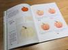 Realistic Color Pencil Drawing Tutorial