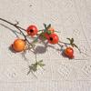 Plastic Artificial Pomegranate Branches 5-Fruit Fake Plants  Birthday Decor