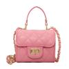 Small Square Bag Women's 2024 New Crossbody Bag Ladies Fashionable Simple Handbag