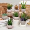 Artificial Succulent Bonsai Creative Ornaments for Home Table Garden Decoration Simulated Artificial Plants with Pot Decor Gift