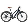 Fafrees F700W Electric Bike, 250W Motor, 36V 10Ah Battery, 9-speed