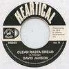 7inch Record DAVID JAHSON - Clean Rasta Dread HS003 Heartical 2002 UK Reggae, Ska & Dub
