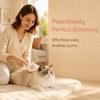 Safe Massage Cat Slicker Brush Self-Cleaning Hair Shedding Brush Pet Grooming Brush  for Small Pets