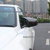 Lexus CT200 Rearview Mirror Carbon Fiber Shell (09-22)