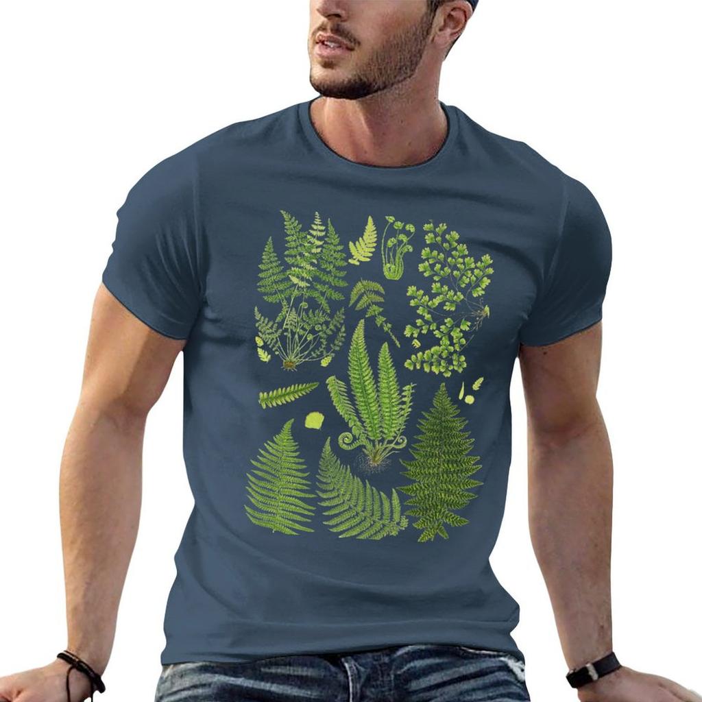 Fern Chart Study TShirt Large Size Basic Casual TShirt