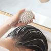 Silicone Scalp Massager: Japanese Shampoo & Massage Brush Combo