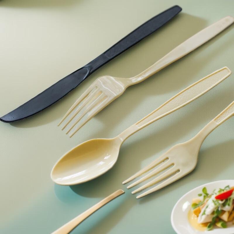 JINGRX Disposable Frosted Plastic Forks