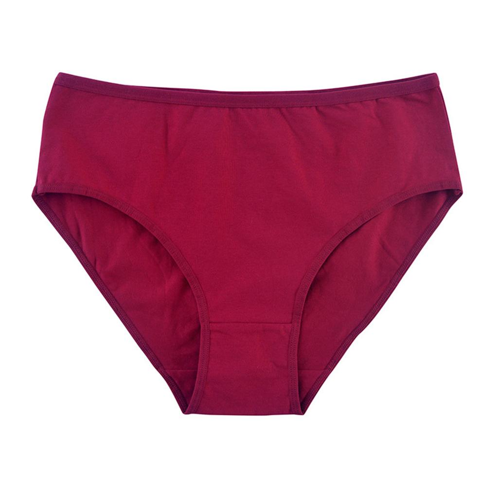 Women's Plus Plus Plus Medium High Waist And Women's Underwear