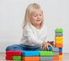 Marioinex Polish bricks Junior bricks 60 pcs