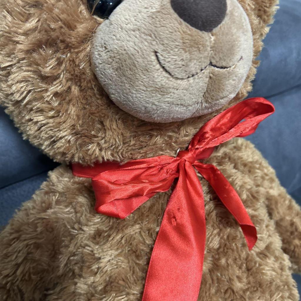 [USED] Brown teddy bear (large)